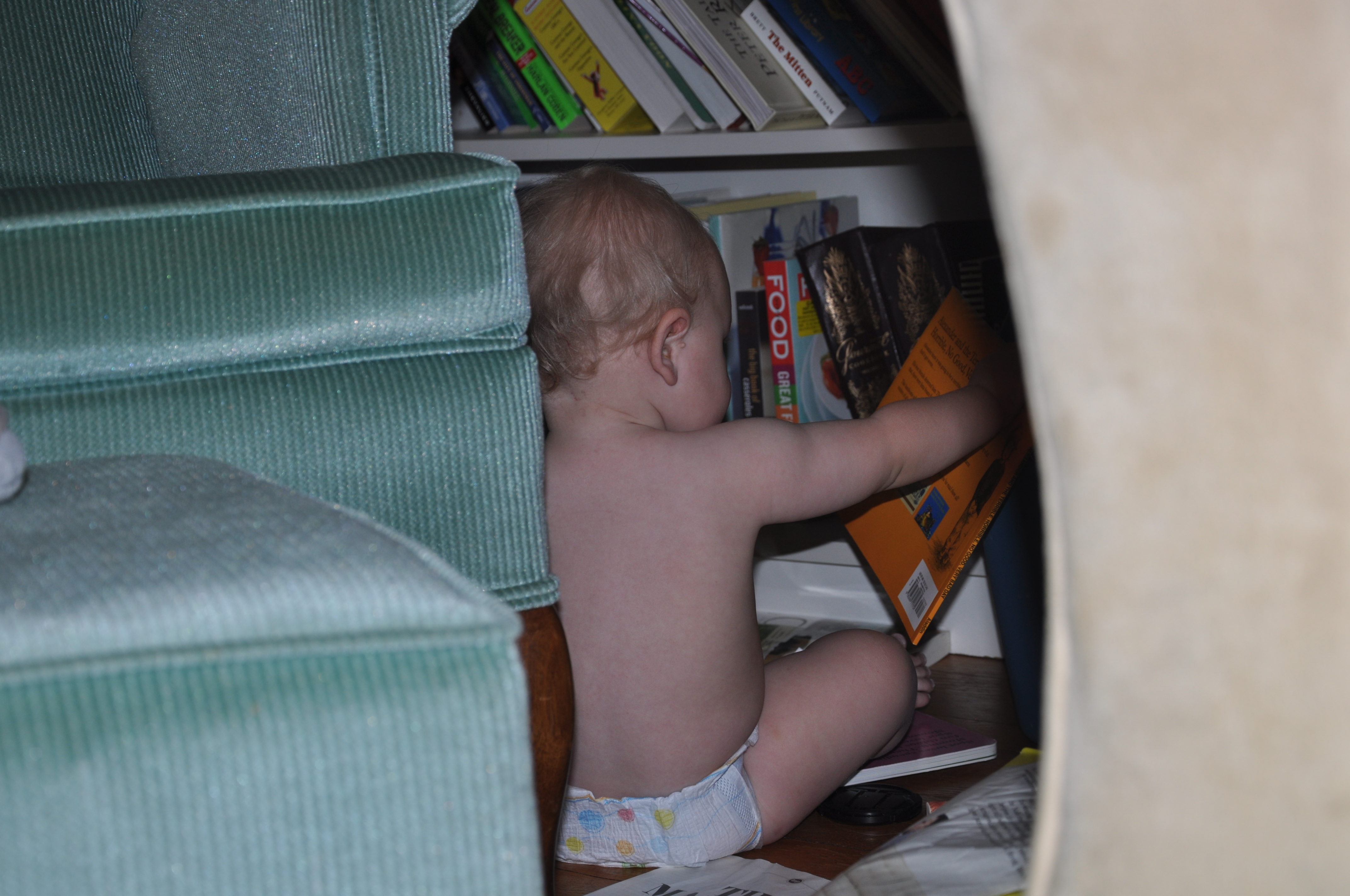 William's Fifty-Fourth Week 54.jpg